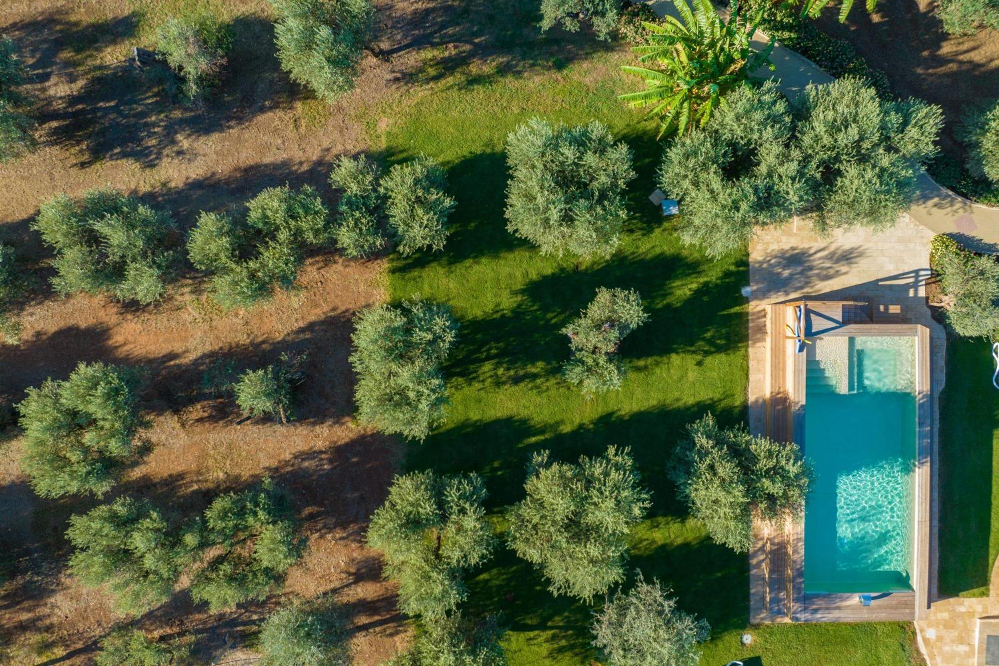 Dimora Tenuta Solentino Торре-Сан-Джованні-Удженто Екстер'єр фото