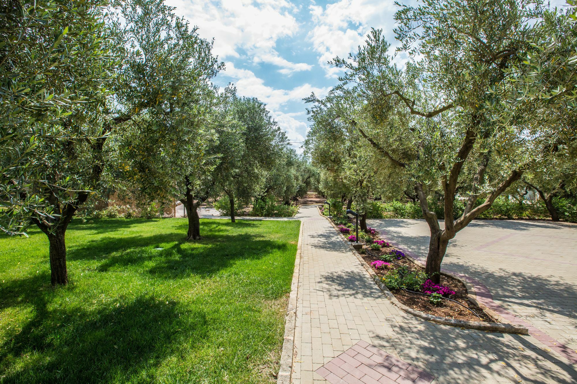 Dimora Tenuta Solentino Торре-Сан-Джованні-Удженто Екстер'єр фото